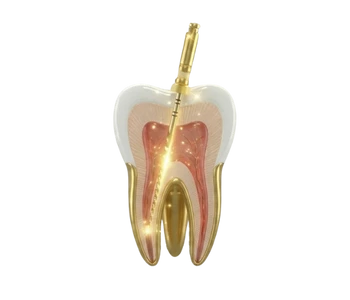 endodontist in abudhabi